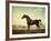 Sweetwilliam', a Bay Racehorse, in a Paddock, 1779-George Stubbs-Framed Giclee Print