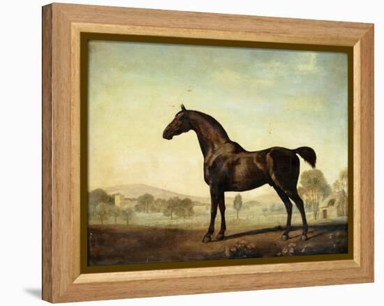 Sweetwilliam', a Bay Racehorse, in a Paddock-George Stubbs-Framed Premier Image Canvas