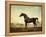 Sweetwilliam', a Bay Racehorse, in a Paddock-George Stubbs-Framed Premier Image Canvas