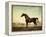 Sweetwilliam', a Bay Racehorse, in a Paddock-George Stubbs-Framed Premier Image Canvas