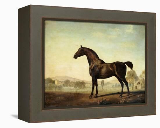 Sweetwilliam', a Bay Racehorse, in a Paddock-George Stubbs-Framed Premier Image Canvas