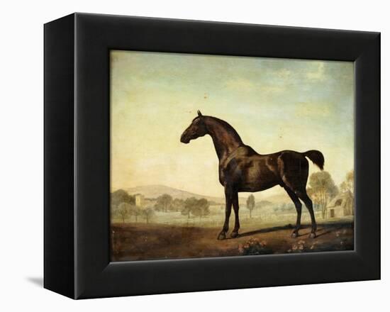 Sweetwilliam', a Bay Racehorse, in a Paddock-George Stubbs-Framed Premier Image Canvas