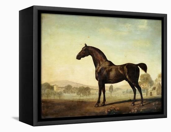 Sweetwilliam', a Bay Racehorse, in a Paddock-George Stubbs-Framed Premier Image Canvas