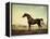 Sweetwilliam', a Bay Racehorse, in a Paddock-George Stubbs-Framed Premier Image Canvas