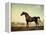 Sweetwilliam', a Bay Racehorse, in a Paddock-George Stubbs-Framed Premier Image Canvas