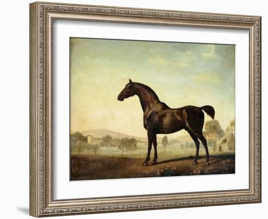 Sweetwilliam', a Bay Racehorse, in a Paddock-George Stubbs-Framed Giclee Print