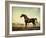 Sweetwilliam', a Bay Racehorse, in a Paddock-George Stubbs-Framed Giclee Print