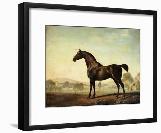 Sweetwilliam', a Bay Racehorse, in a Paddock-George Stubbs-Framed Giclee Print