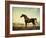 Sweetwilliam', a Bay Racehorse, in a Paddock-George Stubbs-Framed Giclee Print