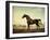 Sweetwilliam', a Bay Racehorse, in a Paddock-George Stubbs-Framed Giclee Print