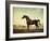 Sweetwilliam', a Bay Racehorse, in a Paddock-George Stubbs-Framed Giclee Print