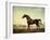 Sweetwilliam', a Bay Racehorse, in a Paddock-George Stubbs-Framed Giclee Print