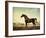 Sweetwilliam', a Bay Racehorse, in a Paddock-George Stubbs-Framed Giclee Print