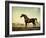 Sweetwilliam', a Bay Racehorse, in a Paddock-George Stubbs-Framed Giclee Print