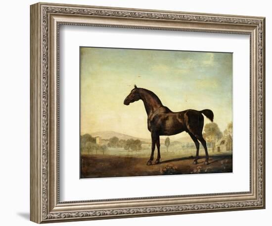 Sweetwilliam', a Bay Racehorse, in a Paddock-George Stubbs-Framed Giclee Print