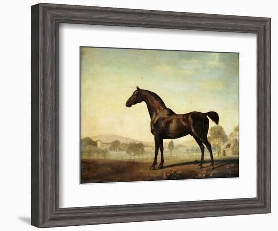 Sweetwilliam', a Bay Racehorse, in a Paddock-George Stubbs-Framed Giclee Print