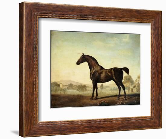 Sweetwilliam', a Bay Racehorse, in a Paddock-George Stubbs-Framed Giclee Print