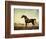 Sweetwilliam', a Bay Racehorse, in a Paddock-George Stubbs-Framed Giclee Print