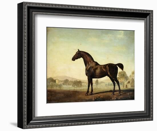 Sweetwilliam', a Bay Racehorse, in a Paddock-George Stubbs-Framed Giclee Print