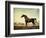 Sweetwilliam', a Bay Racehorse, in a Paddock-George Stubbs-Framed Giclee Print