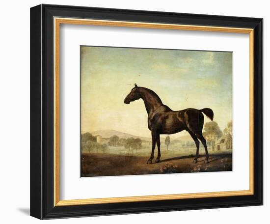 Sweetwilliam', a Bay Racehorse, in a Paddock-George Stubbs-Framed Giclee Print