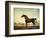 Sweetwilliam', a Bay Racehorse, in a Paddock-George Stubbs-Framed Giclee Print