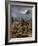 Sweyn's Poisoned Army, 1036-Henry Payne-Framed Giclee Print