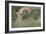 Swift Fox (Vulpes velox) kit pouncing, Pawnee National Grassland, Colorado, USA, North America-James Hager-Framed Photographic Print