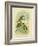 Swift Lorikeet, 1891-Gracius Broinowski-Framed Giclee Print