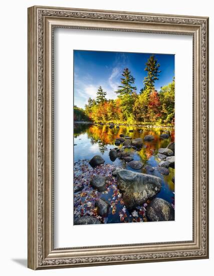 Swift River Autumn Reflections, New Hampshire-George Oze-Framed Photographic Print