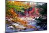 Swift River Autumn Scenic, New Hampshire-George Oze-Mounted Photographic Print