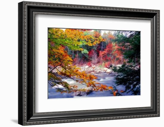 Swift River Autumn Scenic, New Hampshire-George Oze-Framed Photographic Print