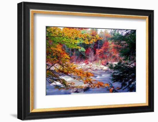 Swift River Autumn Scenic, New Hampshire-George Oze-Framed Photographic Print