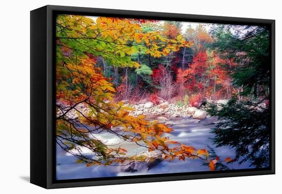 Swift River Autumn Scenic, New Hampshire-George Oze-Framed Premier Image Canvas