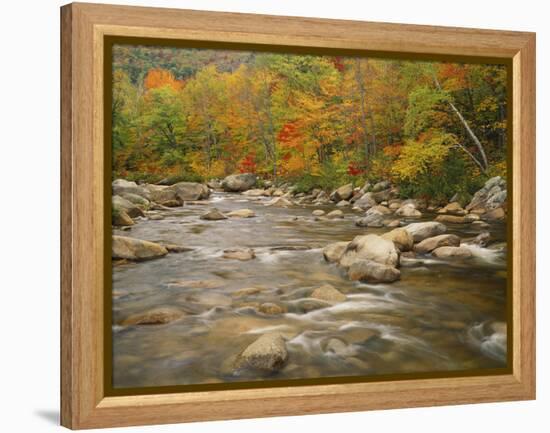 Swift River Flowing Trough Forest in Autumn, White Mountains National Forest, New Hampshire, USA-Adam Jones-Framed Premier Image Canvas