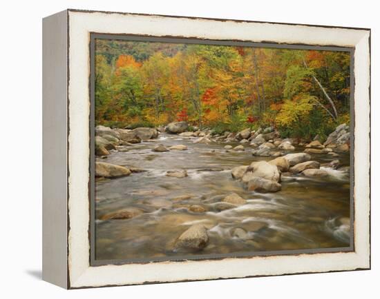 Swift River Flowing Trough Forest in Autumn, White Mountains National Forest, New Hampshire, USA-Adam Jones-Framed Premier Image Canvas