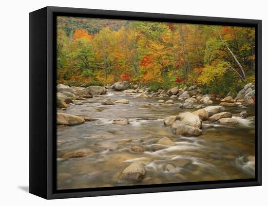 Swift River Flowing Trough Forest in Autumn, White Mountains National Forest, New Hampshire, USA-Adam Jones-Framed Premier Image Canvas