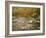 Swift River Flowing Trough Forest in Autumn, White Mountains National Forest, New Hampshire, USA-Adam Jones-Framed Photographic Print