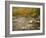 Swift River Flowing Trough Forest in Autumn, White Mountains National Forest, New Hampshire, USA-Adam Jones-Framed Photographic Print