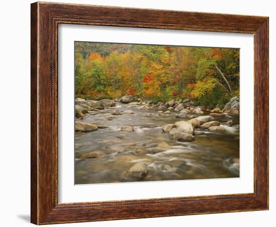 Swift River Flowing Trough Forest in Autumn, White Mountains National Forest, New Hampshire, USA-Adam Jones-Framed Photographic Print