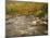 Swift River Flowing Trough Forest in Autumn, White Mountains National Forest, New Hampshire, USA-Adam Jones-Mounted Photographic Print