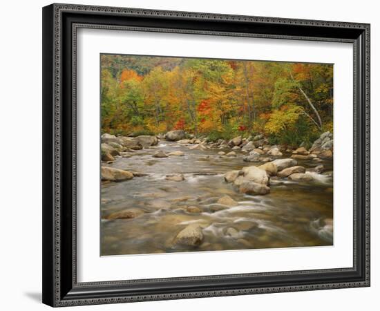 Swift River Flowing Trough Forest in Autumn, White Mountains National Forest, New Hampshire, USA-Adam Jones-Framed Photographic Print