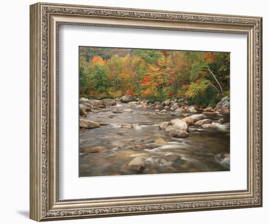 Swift River in Autumn, White Mountains National Forest, New Hampshire, USA-Adam Jones-Framed Photographic Print