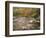 Swift River in Autumn, White Mountains National Forest, New Hampshire, USA-Adam Jones-Framed Photographic Print