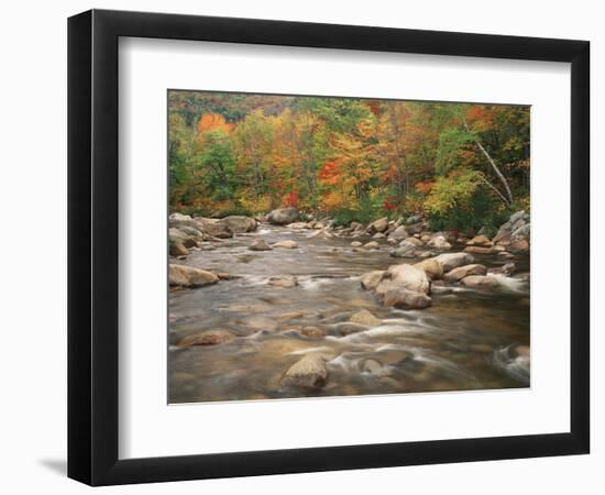 Swift River in Autumn, White Mountains National Forest, New Hampshire, USA-Adam Jones-Framed Photographic Print