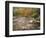 Swift River in Autumn, White Mountains National Forest, New Hampshire, USA-Adam Jones-Framed Photographic Print