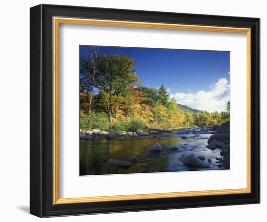 Swift River in Autumn, White Mountains National Forest, New Hampshire, USA-Adam Jones-Framed Photographic Print