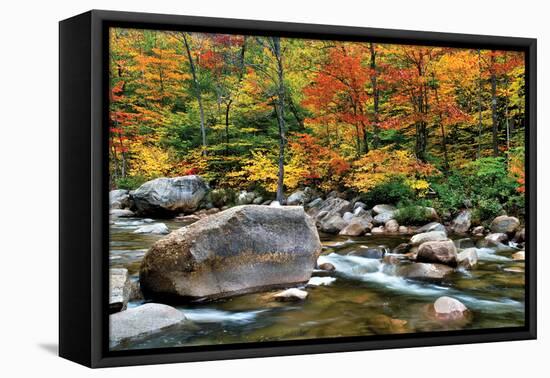 Swift River Pass Scenic-Larry Malvin-Framed Premier Image Canvas