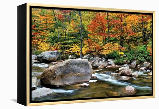 Swift River Pass Scenic-Larry Malvin-Framed Premier Image Canvas