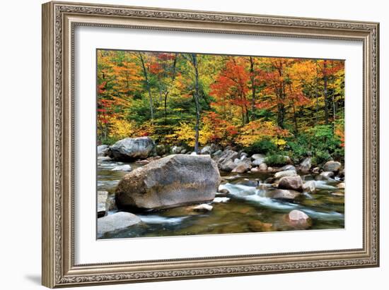 Swift River Pass Scenic-Larry Malvin-Framed Photographic Print